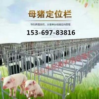 泊头宏基养猪设备厂HJ供应  定位栏  母猪产床  限位栏  猪产床  地板